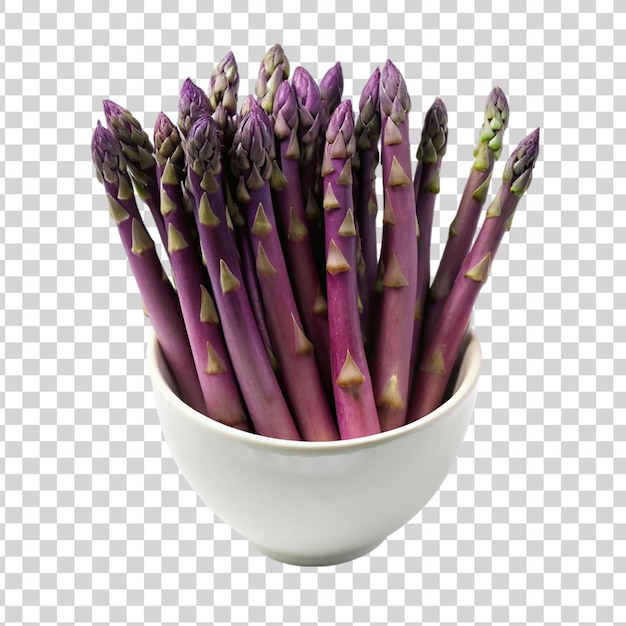 Een bos paarse asperges in een witte schaal geïsoleerd op een doorzichtige achtergrond