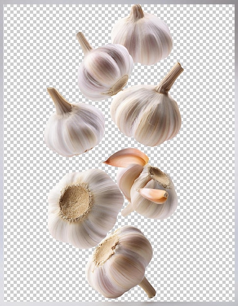 een foto van een bos knoflook op een vel papier