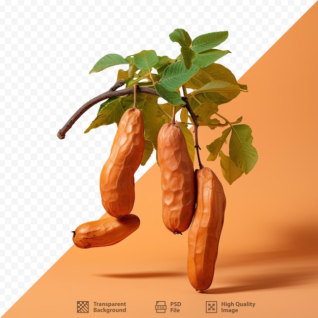 PSD een foto van een plant met de afbeelding van een planten met de afdruk van een wortel erop.