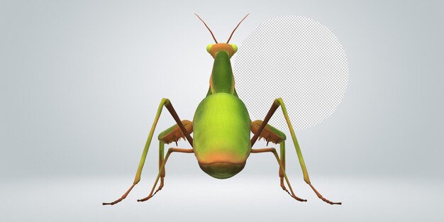 PSD een groen insect met een geel gezicht en een witte achtergrond