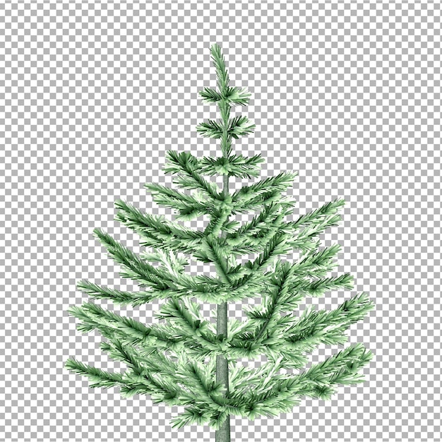 PSD een groene kerstboom met een tak van een kerstboom