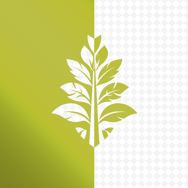 PSD een groene plant met een witte achtergrond met een groen en wit ontwerp