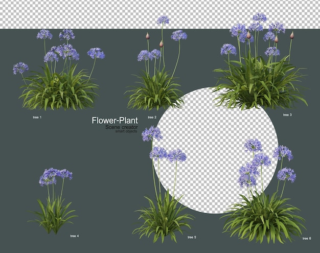 Een grote verscheidenheid aan bloemen en planten