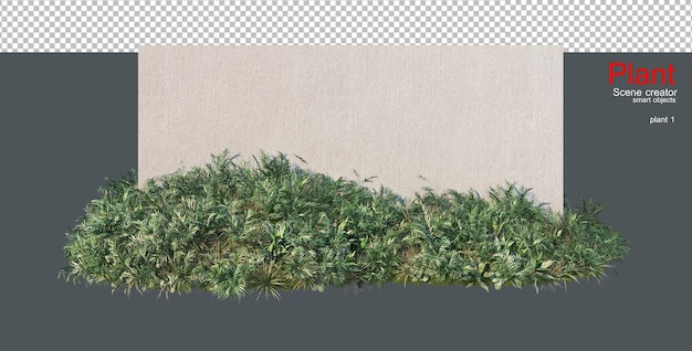 Een grote verscheidenheid aan planten