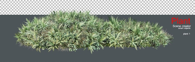 Een grote verscheidenheid aan planten