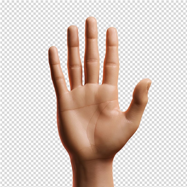 PSD een hand met het woord hand erop.