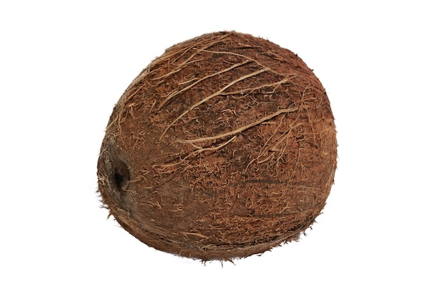 PSD een hele verse kokosnoot in zijn schelp op een witte achtergrond
