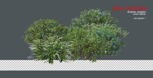 Een kleine tuin met verschillende planten