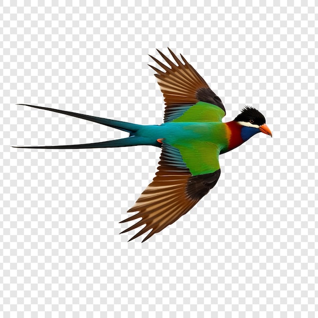 Een levendige vogel in vlucht