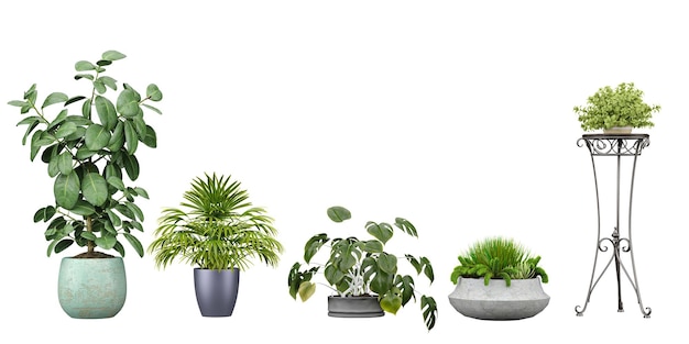 Een muur met verschillende soorten planten, waaronder een die "groen" zegt.