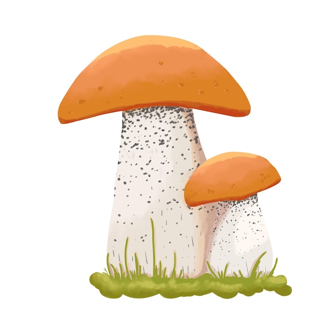 Een paar aspen paddestoelen Aquarel digitale kleur illustratie