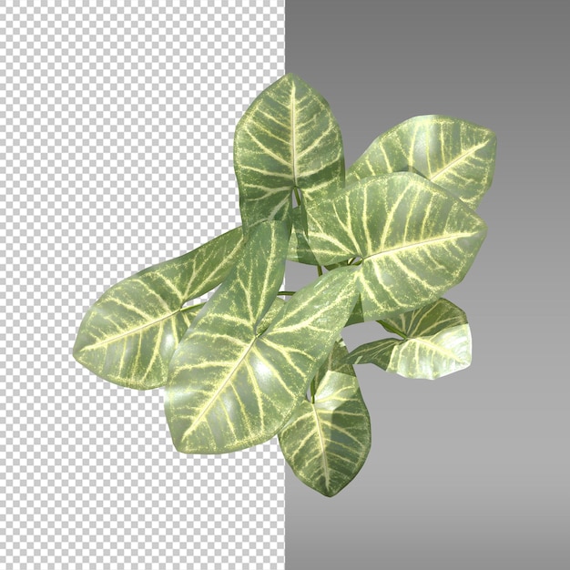 een plant met een blad waarop staat "blad"