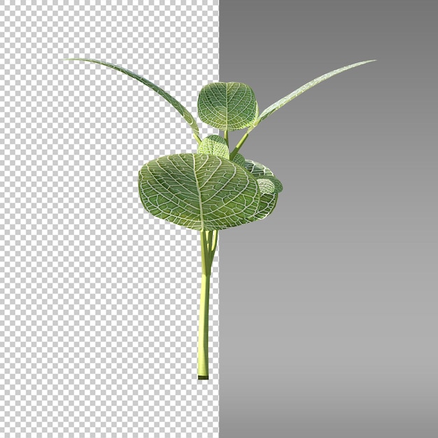 een plant met een blad waarop staat quot plant quot