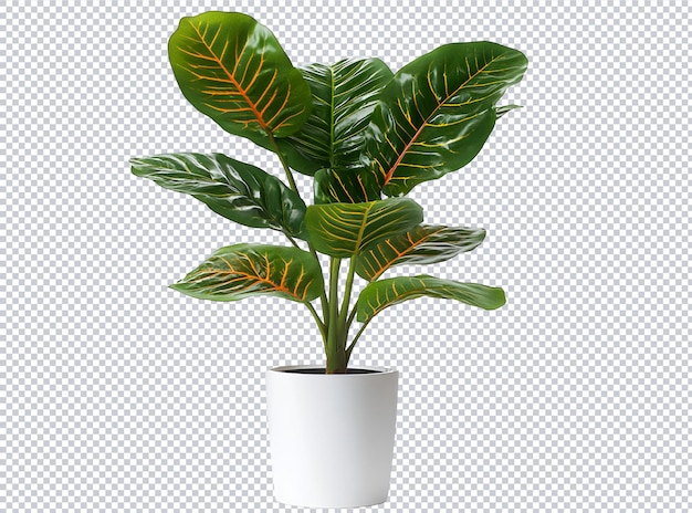 een plant met een groene pot