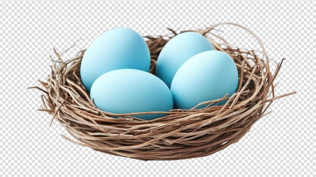 Een serene afbeelding van een klein vogelnest met drie prachtige blauwe eieren Perfect voor natuur- en wildillustraties