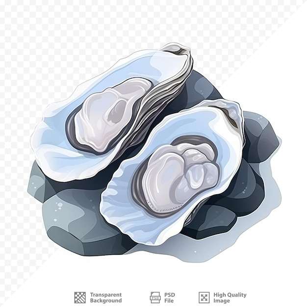 een setje oesters met een afbeelding van een schelp.