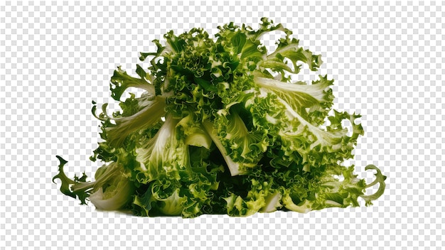 PSD een snee broccoli op een doorzichtige achtergrond
