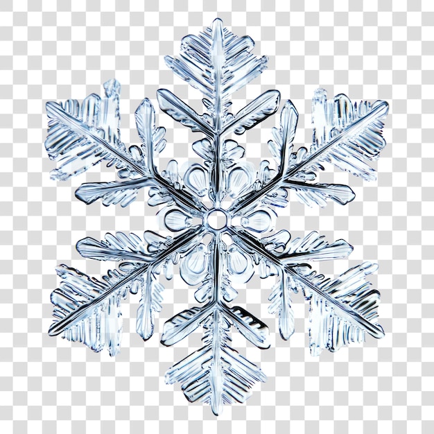 Een sneeuwvlok foto natuur decoratie