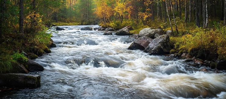 PSD een stroomende rivier door het herfstbos