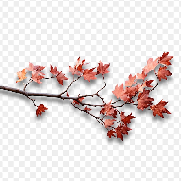 Een tak van rode bladeren met het woord vallen op het