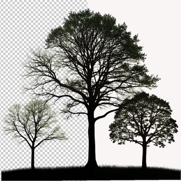 PSD een tekening van bomen en een tekening van een boom.