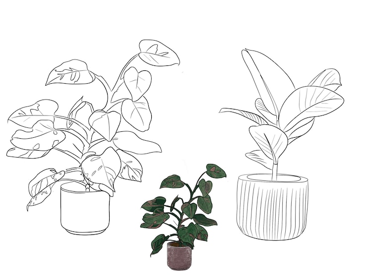 PSD een tekening van een plant met een pot met een plant erin
