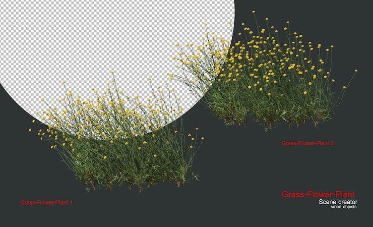 PSD een verscheidenheid aan grassen en planten