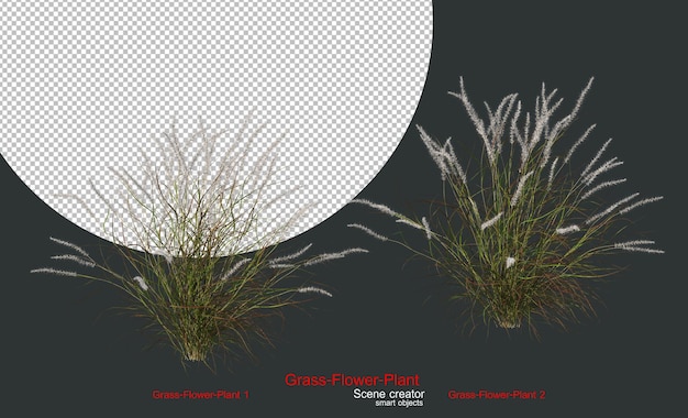 Een verscheidenheid aan grassen en planten