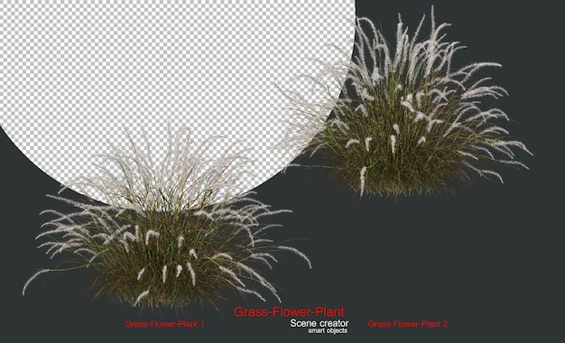 Een verscheidenheid aan grassen en planten