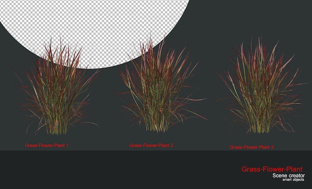 Een verscheidenheid aan grassen en planten