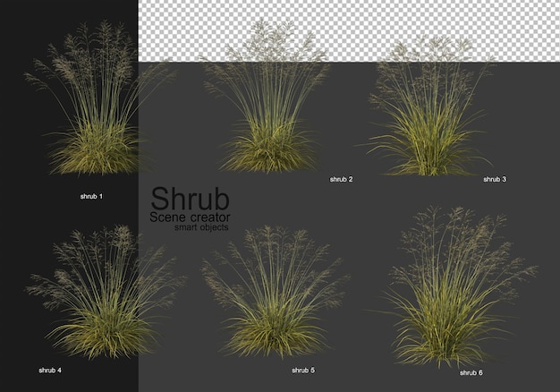 PSD een verscheidenheid aan struiken
