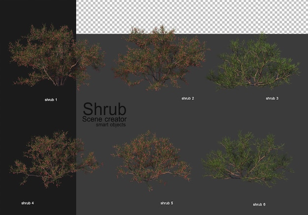 PSD een verscheidenheid aan struiken