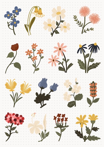 een verzameling bloemen uit de tuin