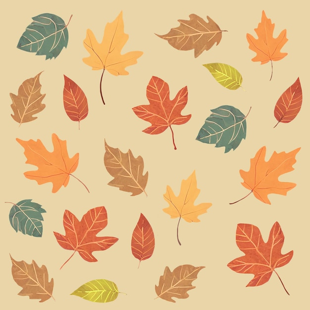 Een verzameling herfstbladeren op een doorzichtige achtergrond
