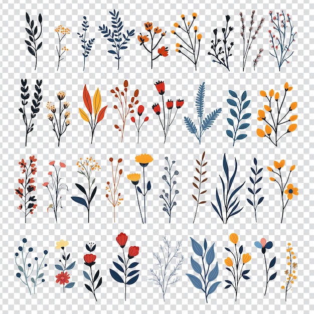 een verzameling van verschillende gekleurde bloemen en bladeren