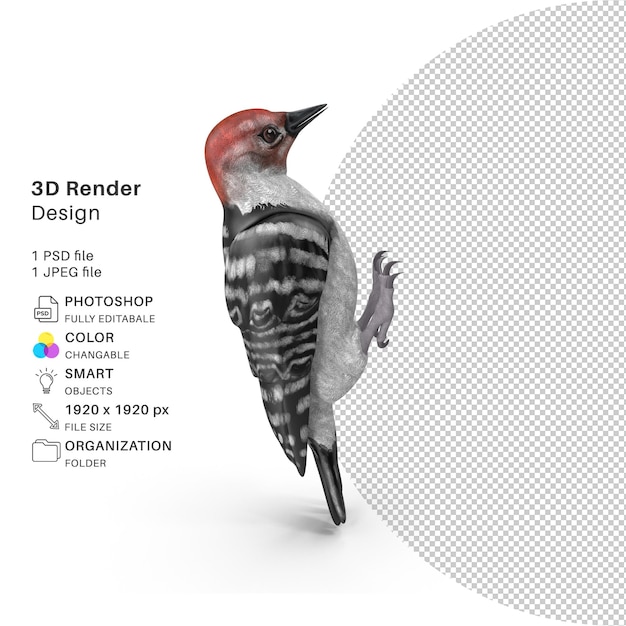 PSD een vogel met een rode kop en een witte achtergrond waarop 3d staat.