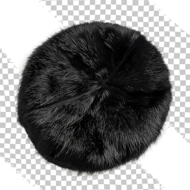 PSD een zwarte ronde bal van bont is onder een cirkel