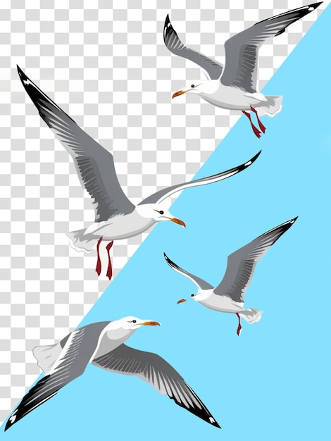 een zwerm meeuwen die in de lucht vliegt