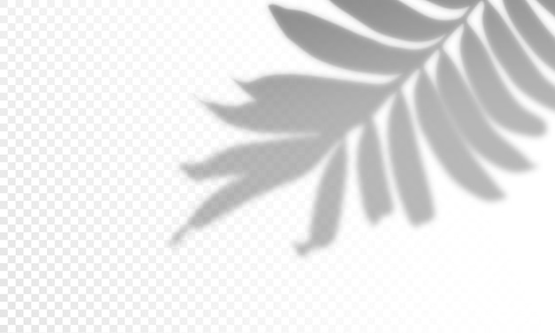 Efekt nakładania cieni
