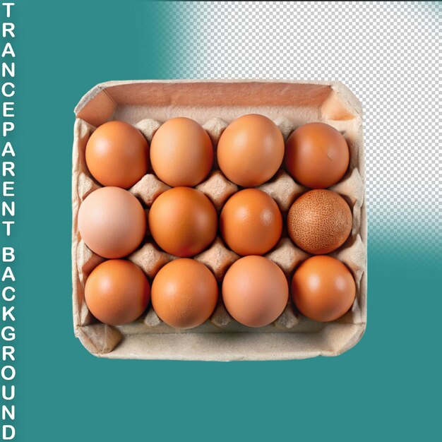 PSD egg carton isolated on transparent background