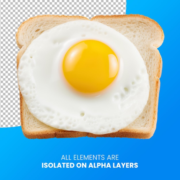 Egg fried on toast isolated from background on psd