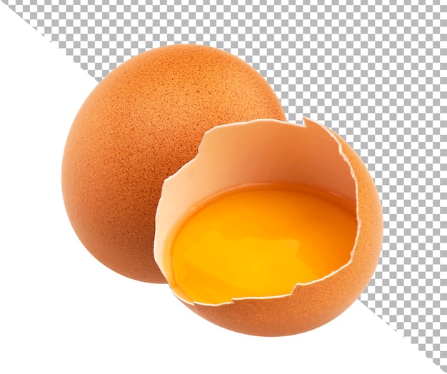 白い背景に隔離された卵