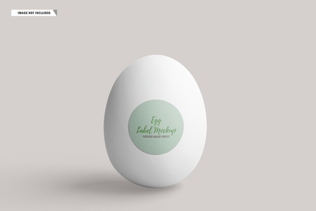 egg mockup