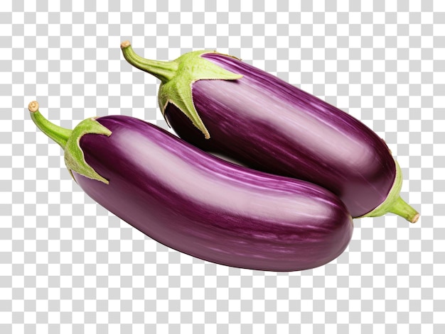 Egg plant on transparent background vector illustration