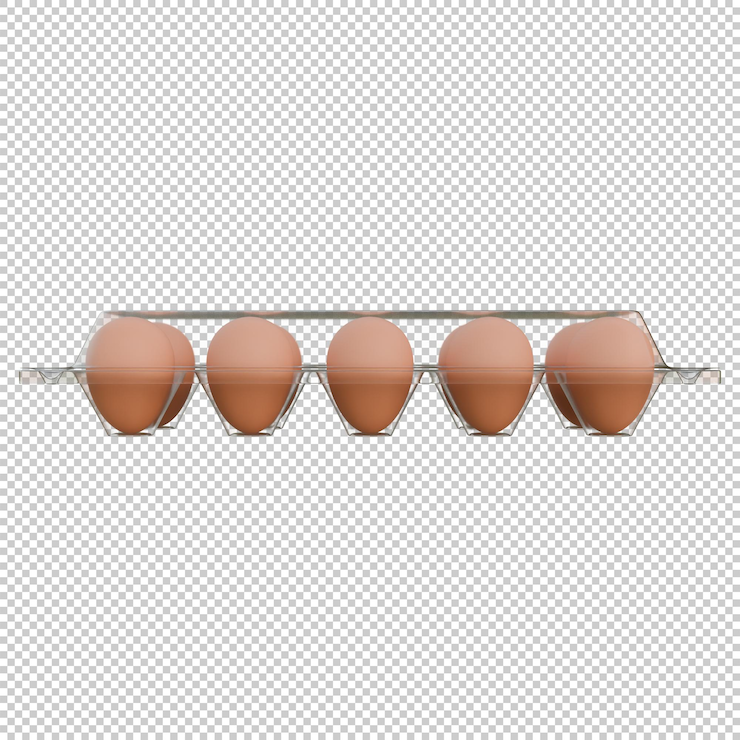 PSD egg plastic packaging front view 3d render illustration