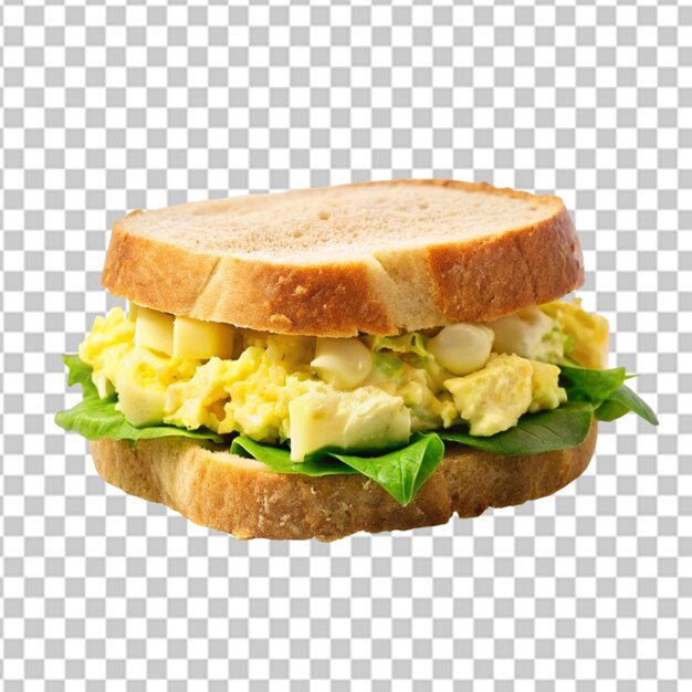 Egg salad sandwich on white background