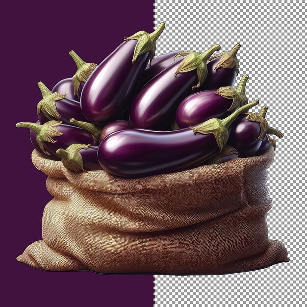 PSD eggplant ensemble png