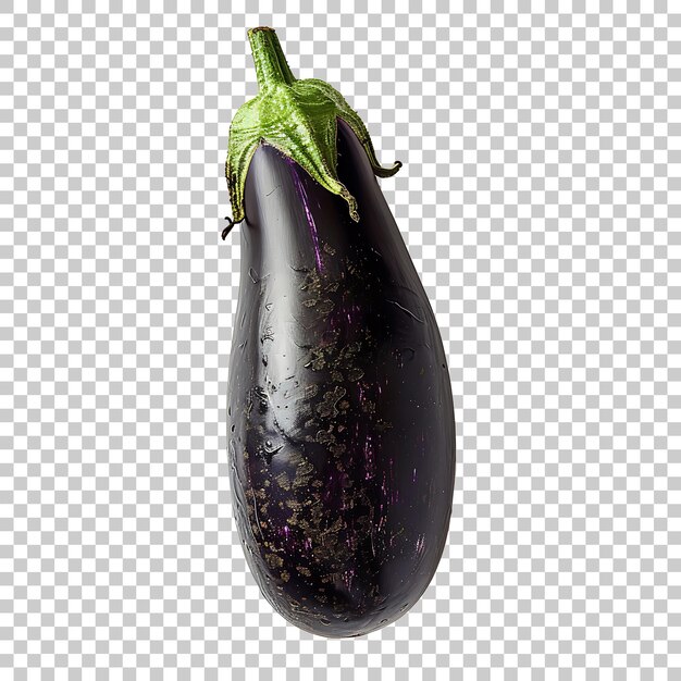 PSD a eggplant is shown on a grid