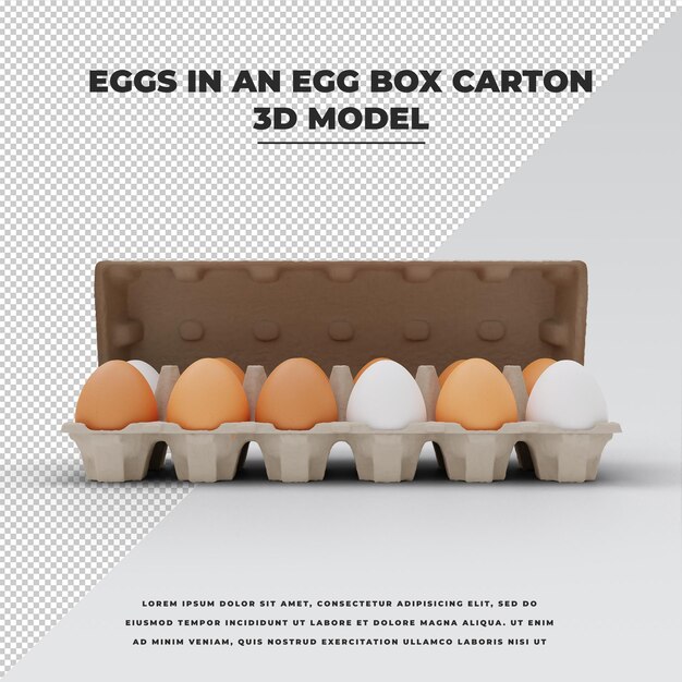 Eggs in an egg box carton