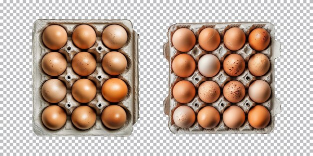 Eggs on paper egg tray isolated on a transparent background top view